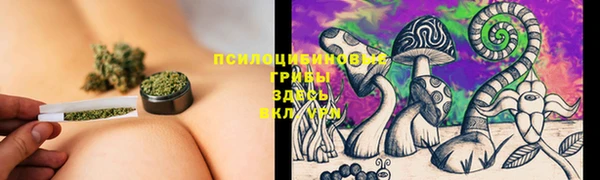 a pvp Армянск
