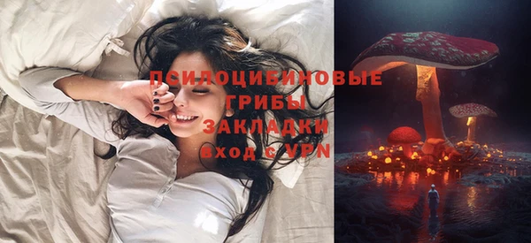 гашик Баксан