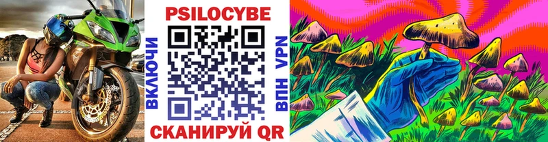 Галлюциногенные грибы Psilocybe  Калининец 